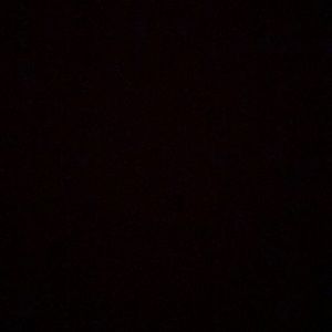 Meet your Posher, Brandi